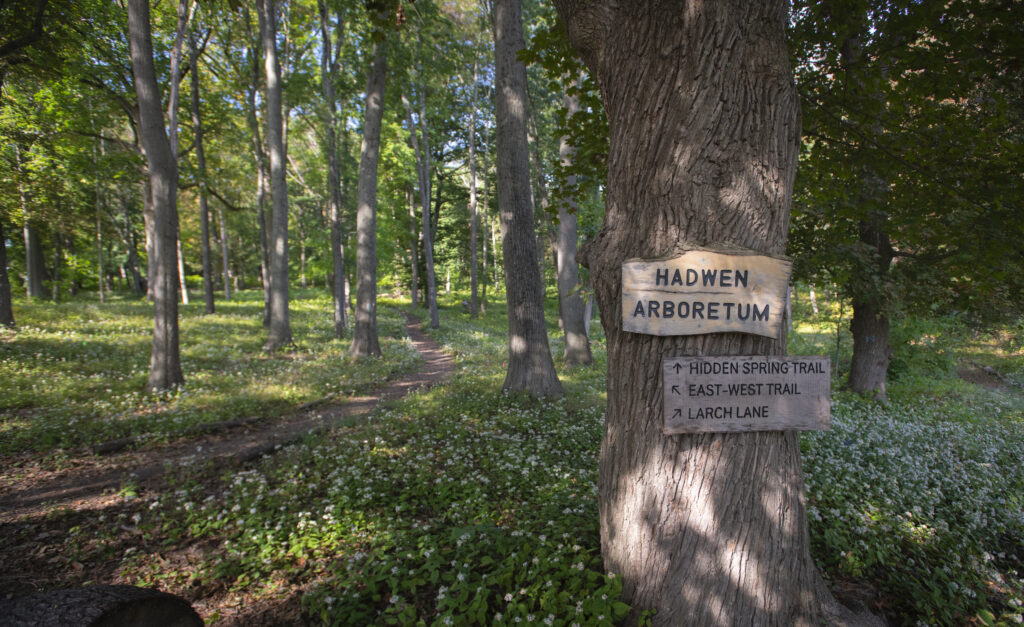 tree in arboretum with sign on it