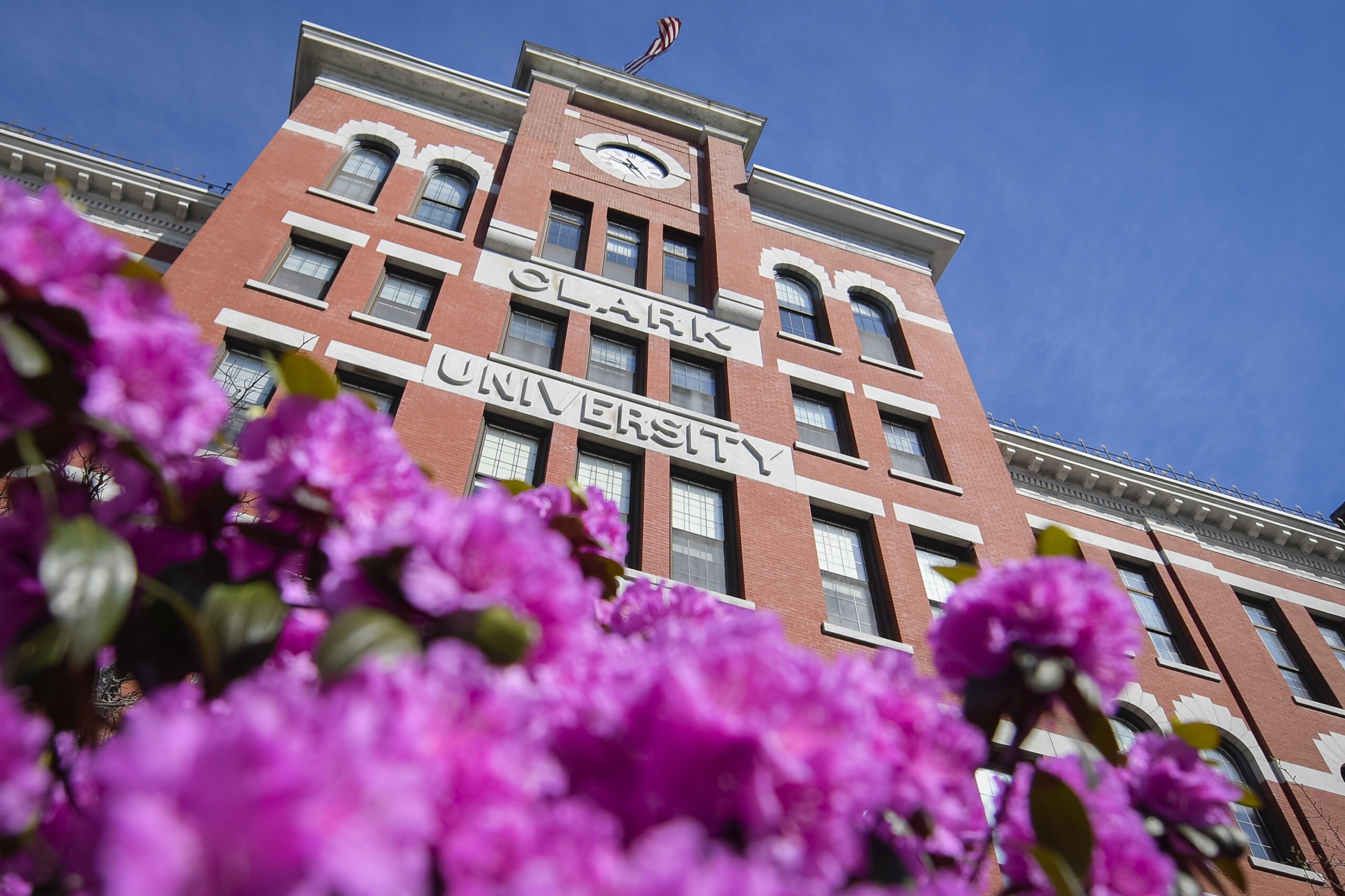 From AI to oyster mushrooms, Steinbrecher fellows are prepared for intensive research