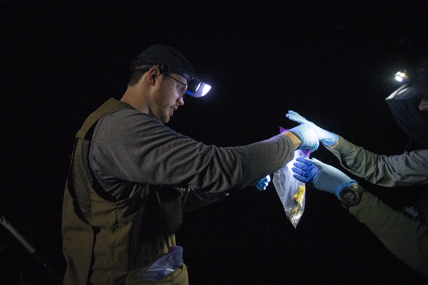 Clark University Ph.D. student Liam Cleary collects frogs for research