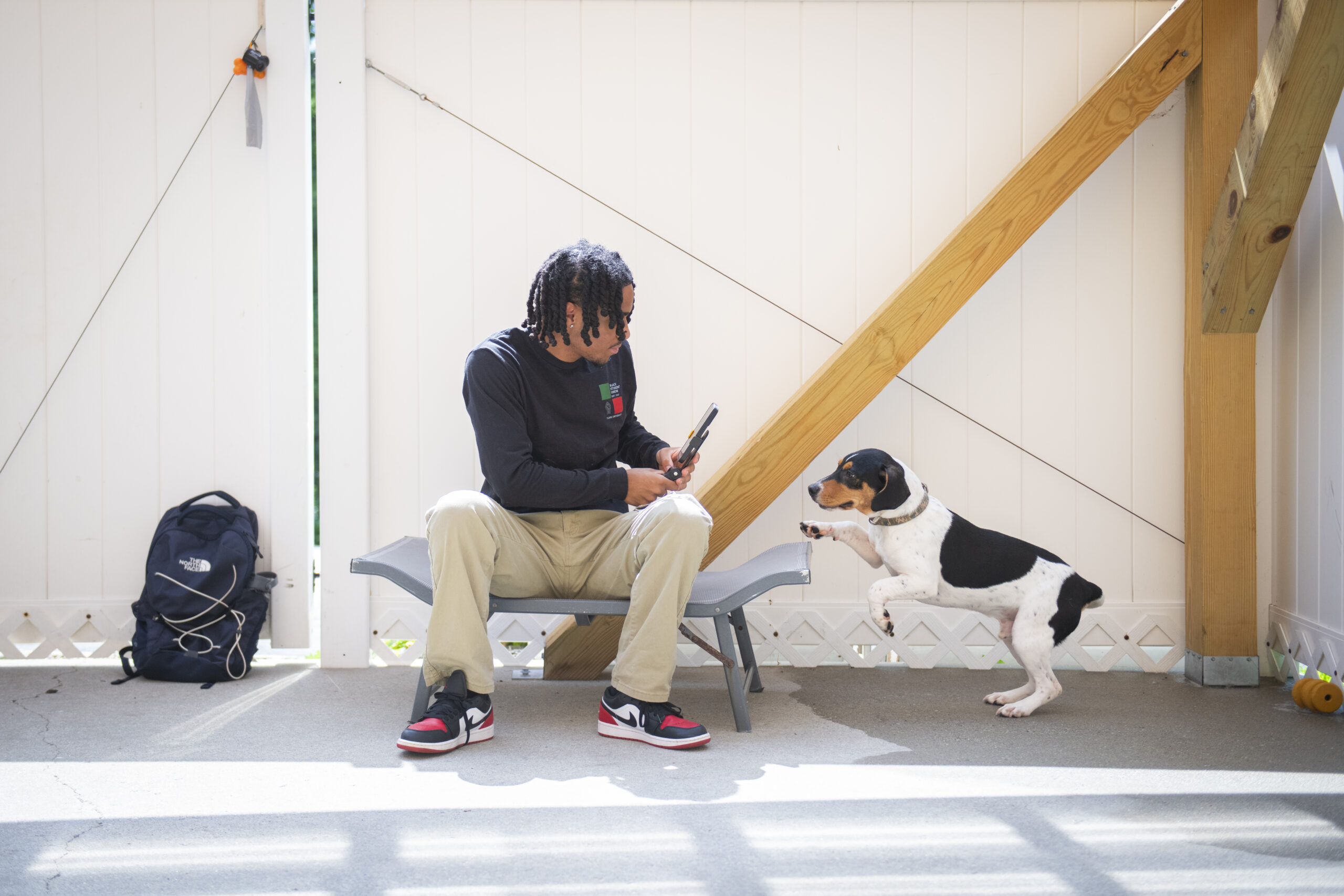 student records iphone video of dog