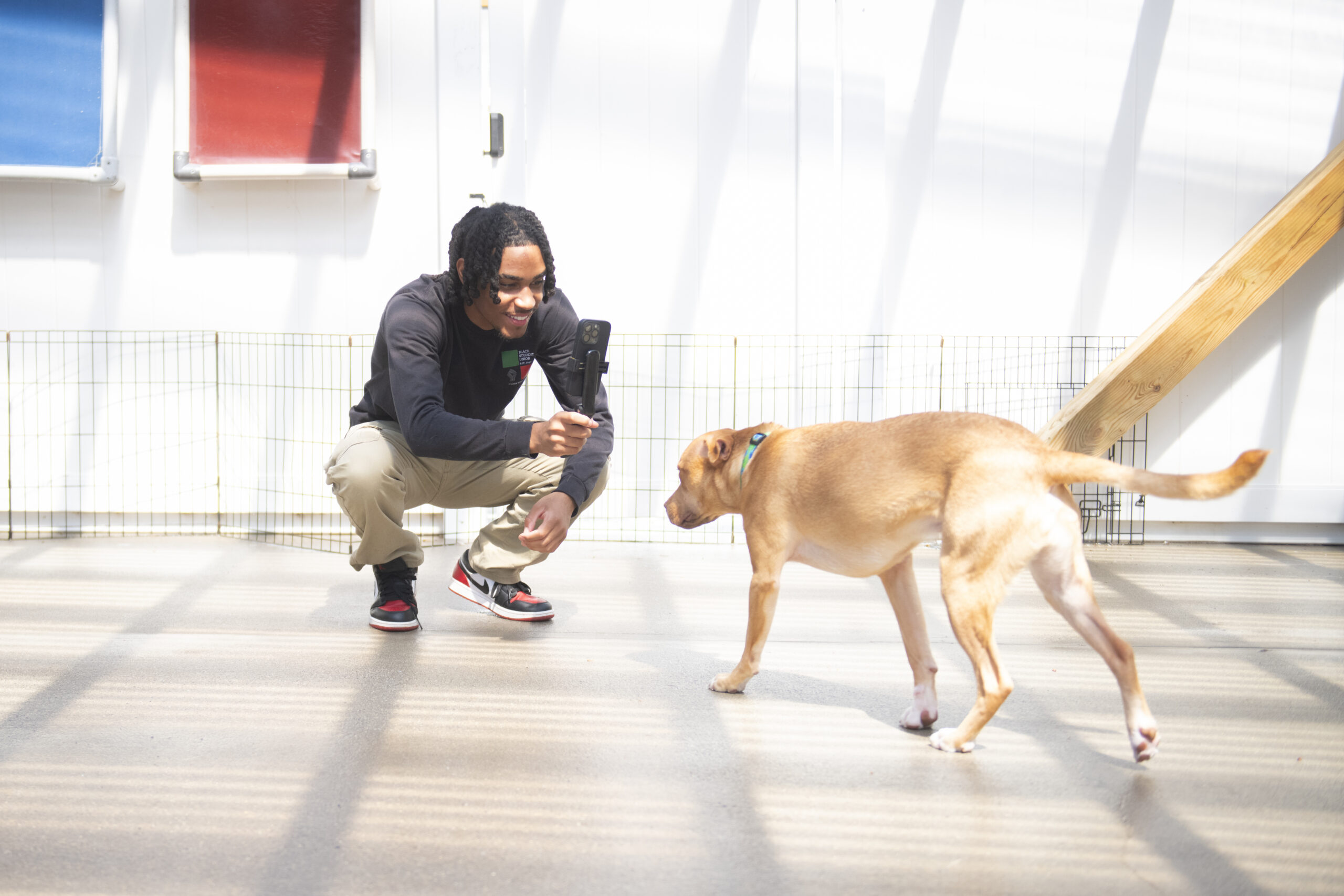 student records iphone video of dog