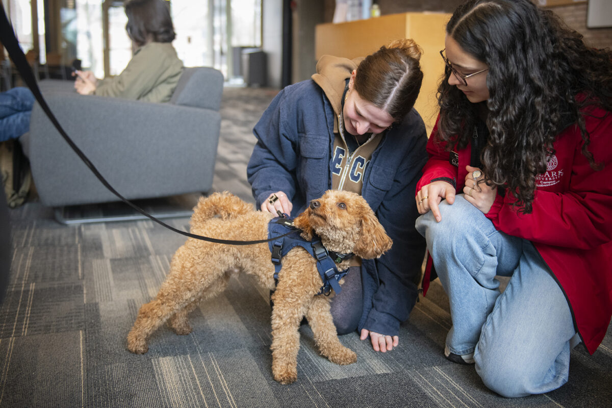 Two students pet Mango the mini golden doodle