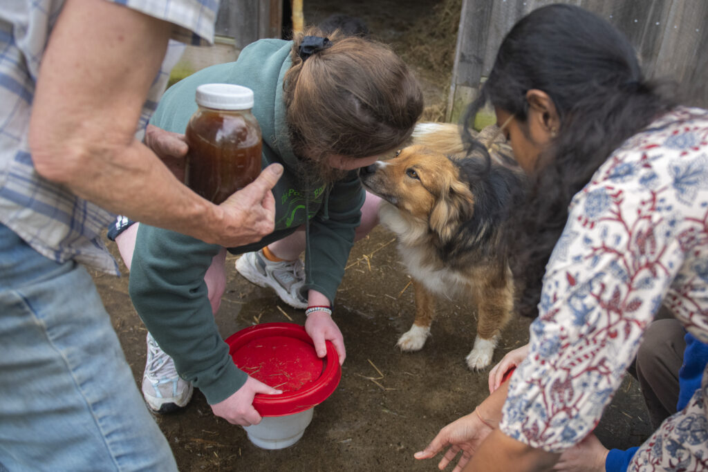 students and dog on farm