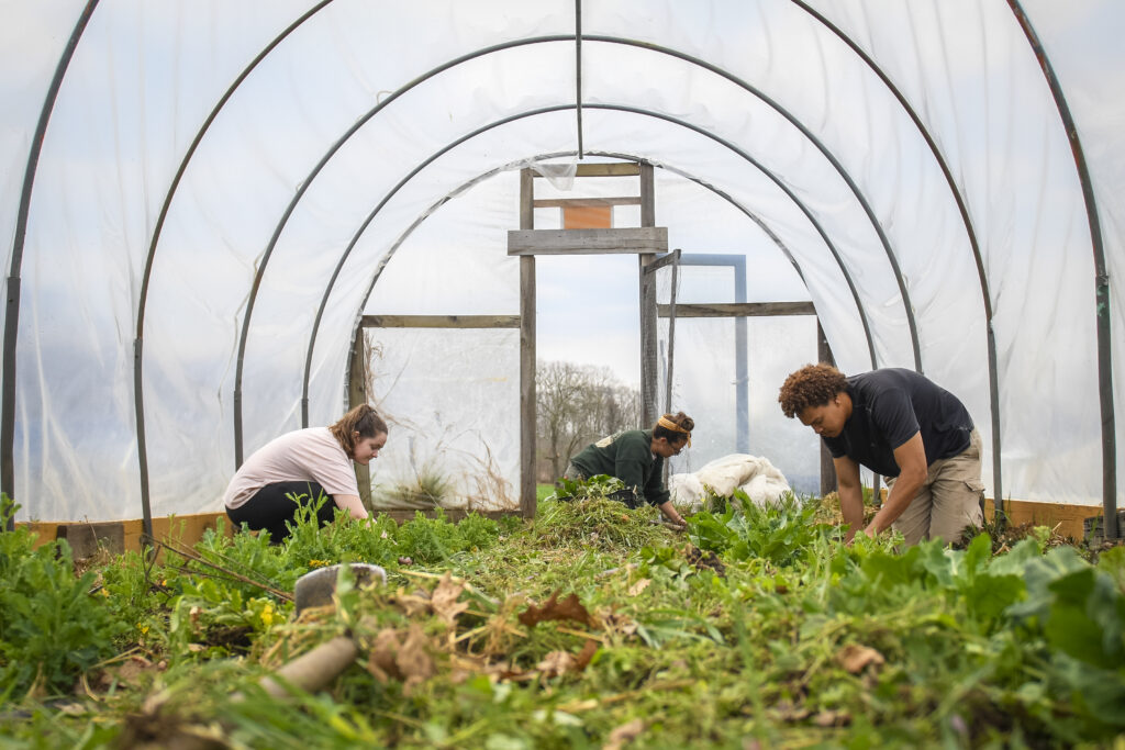 students work on farm