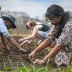 students work on farm