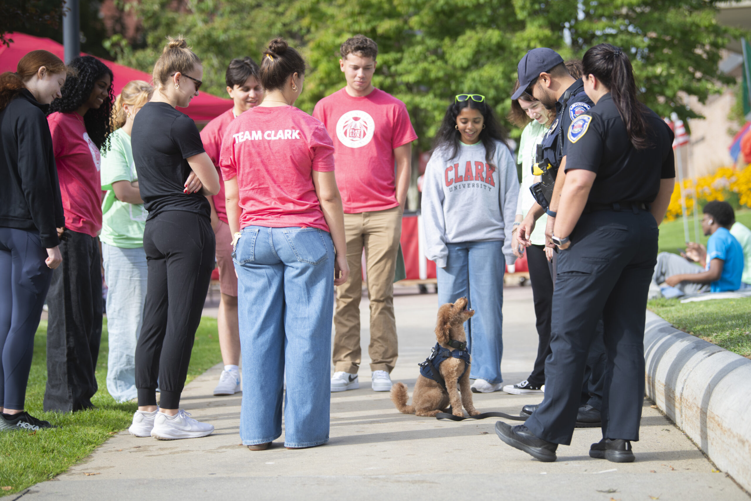 dog on campus sidewalk on move-in day