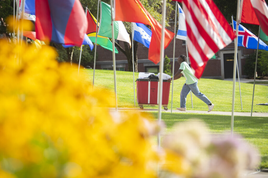 person moves bin on sidewalk