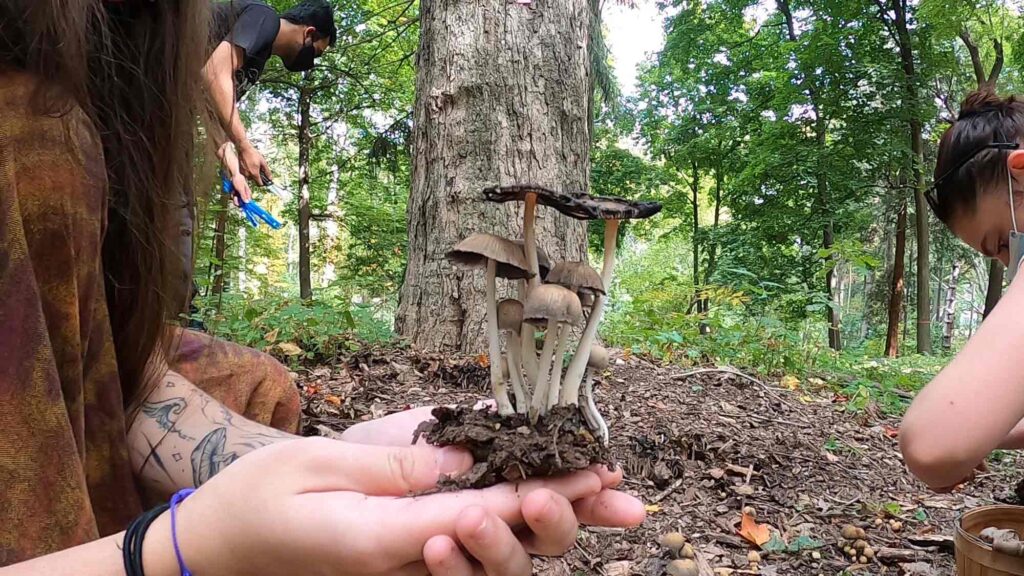 Students holding mushrooms during a field trip to the Hadwen Arboretum