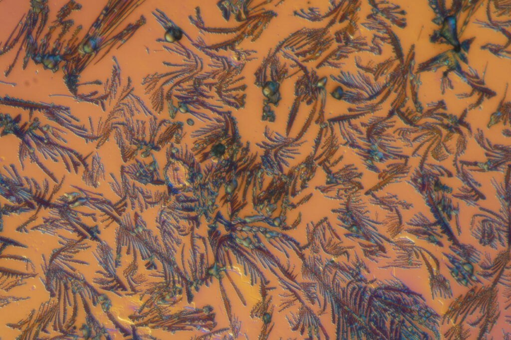 Polymer crystallization, as seen under a microscope (Photo by Katelynn Humphrey ’25)