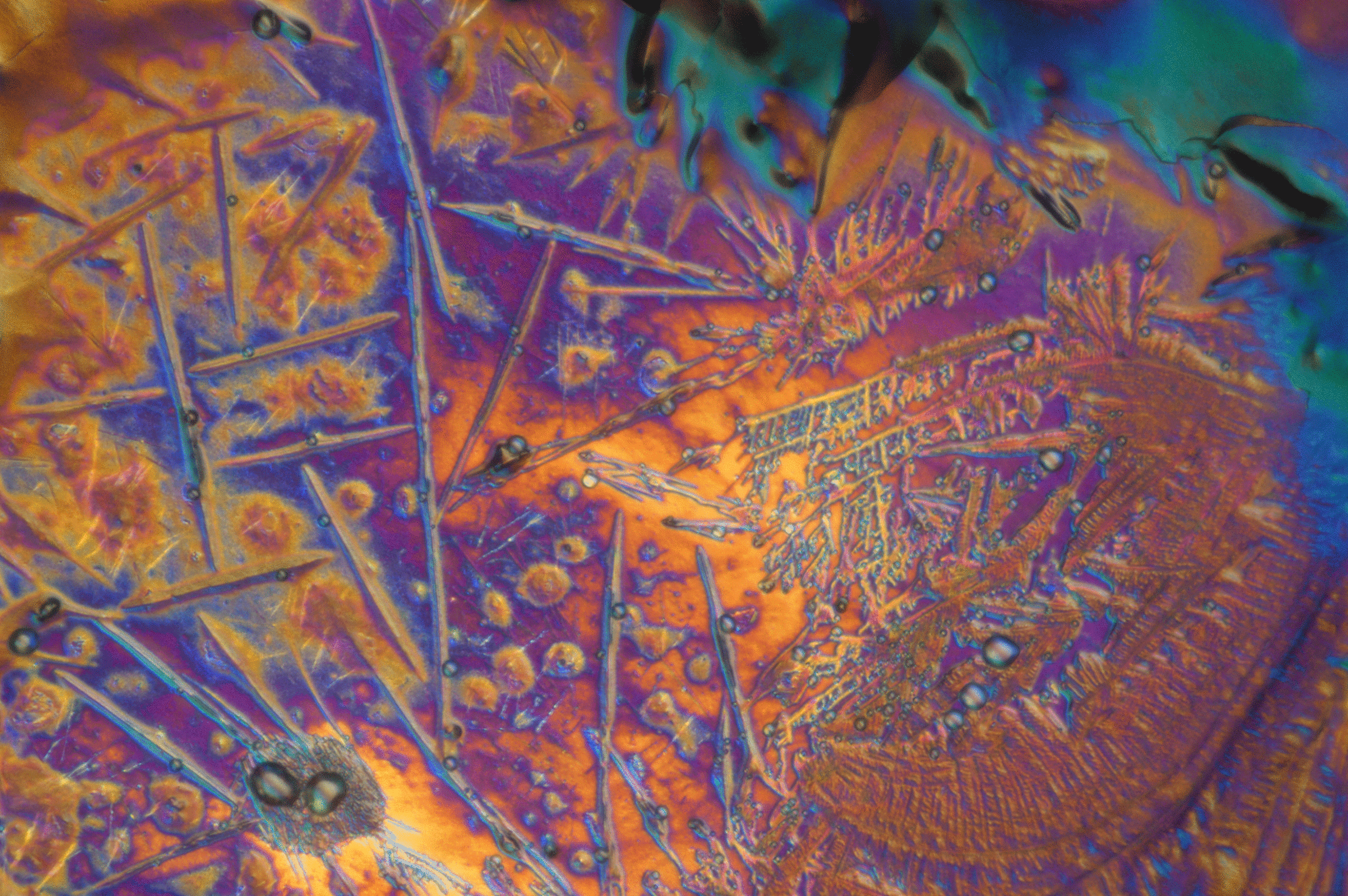 Polymer crystals under a microscope