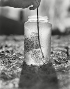 photo of a jar