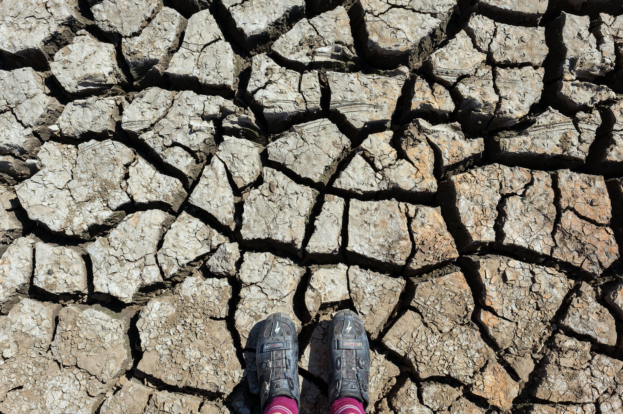 Grant-funded physics research uses AI to explore deep within the Earth Grant-funded physics research uses AI to explore deep within the Earth