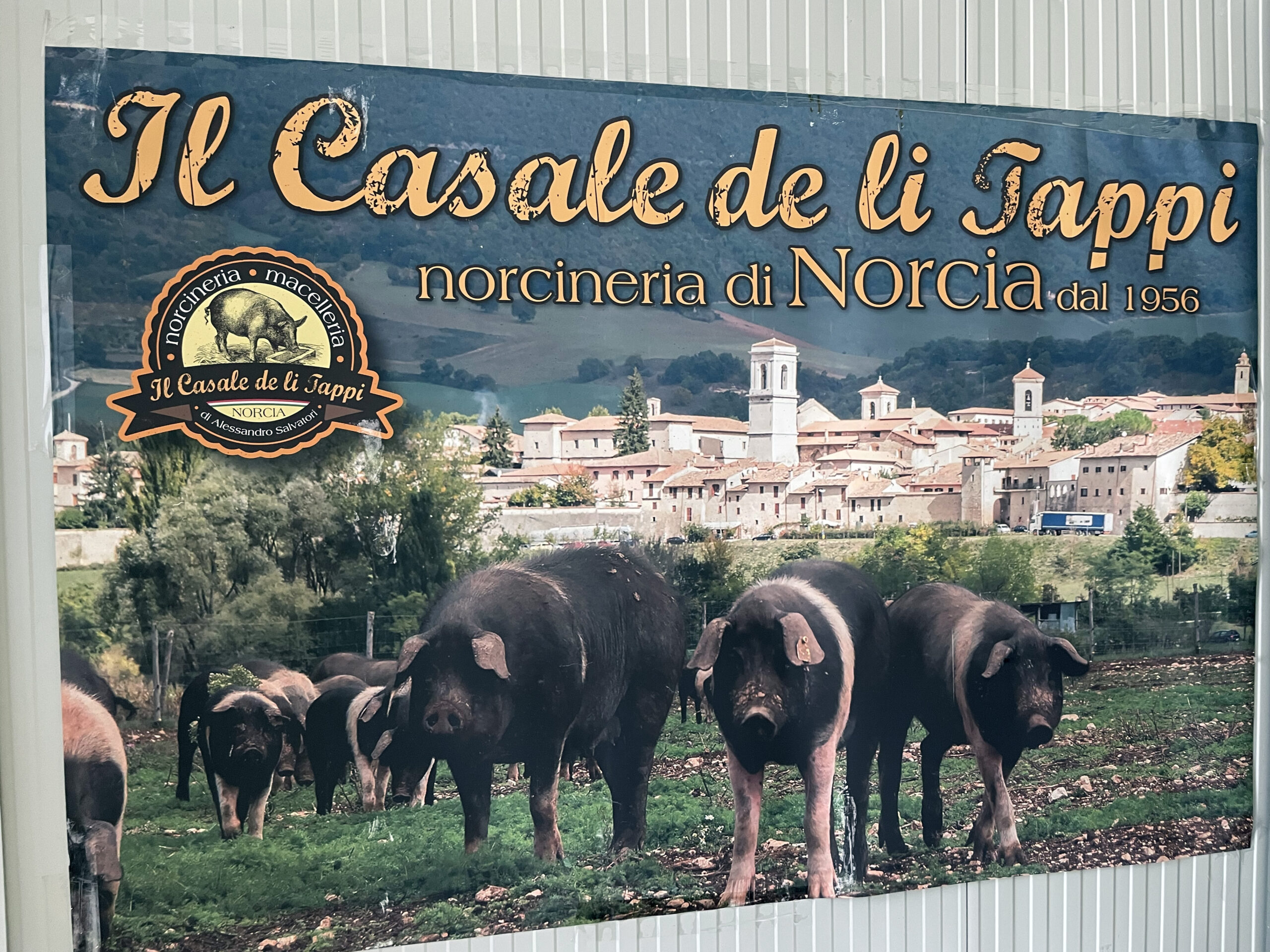 Sign in Italian for local farm that raises pigs