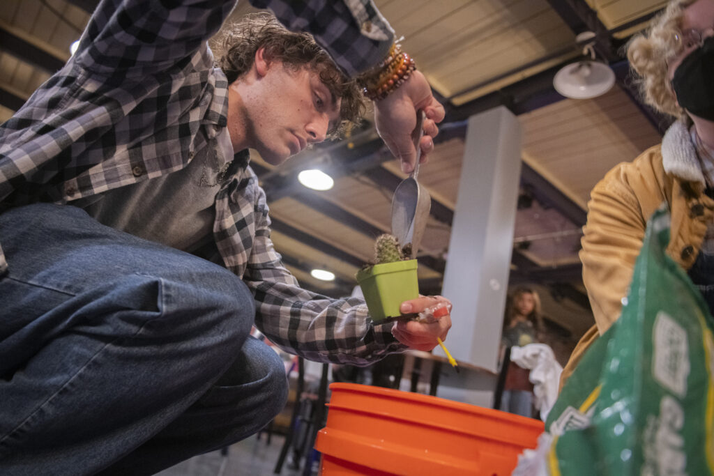 student plants cactus