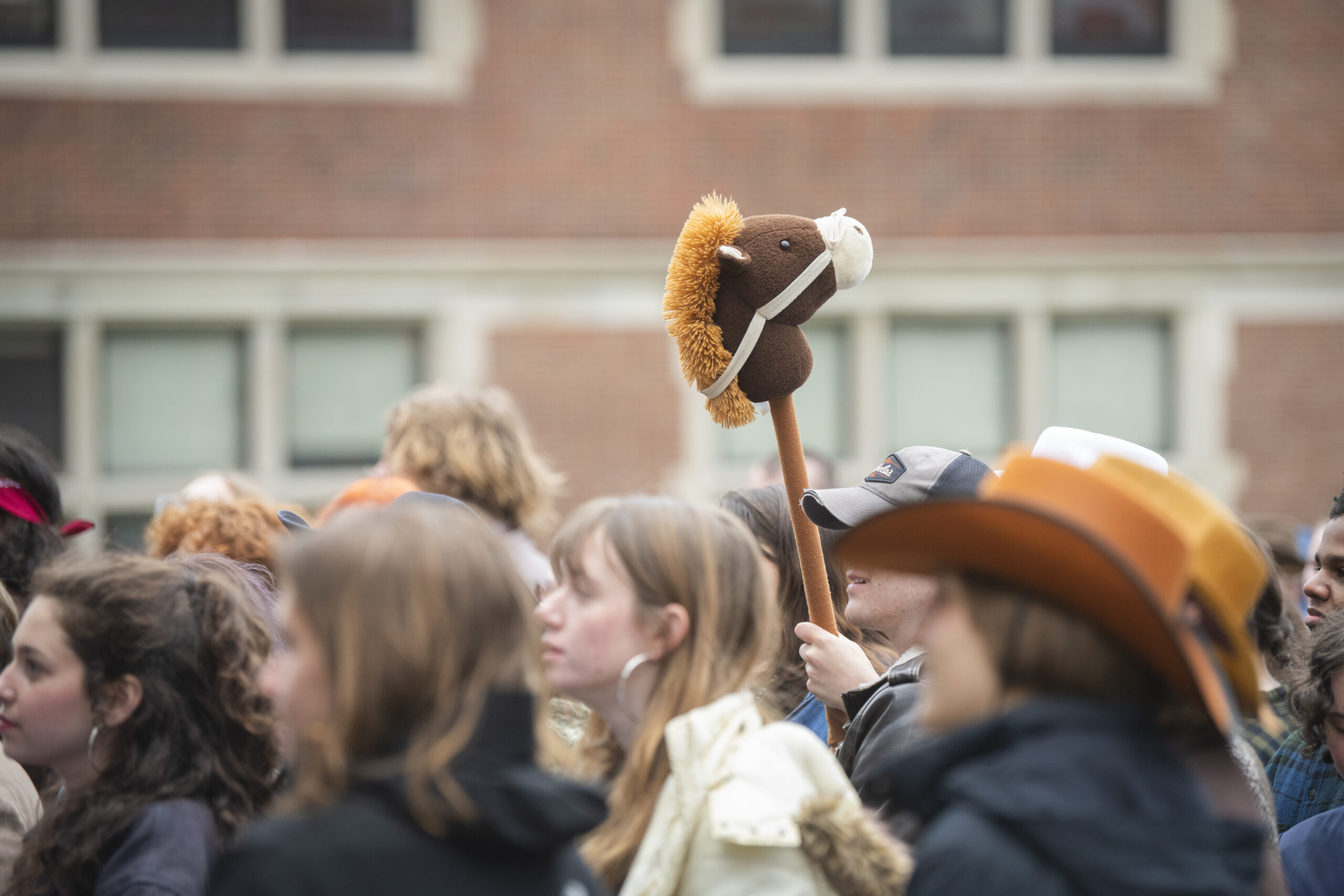 a hobby horse emerges from a crowd
