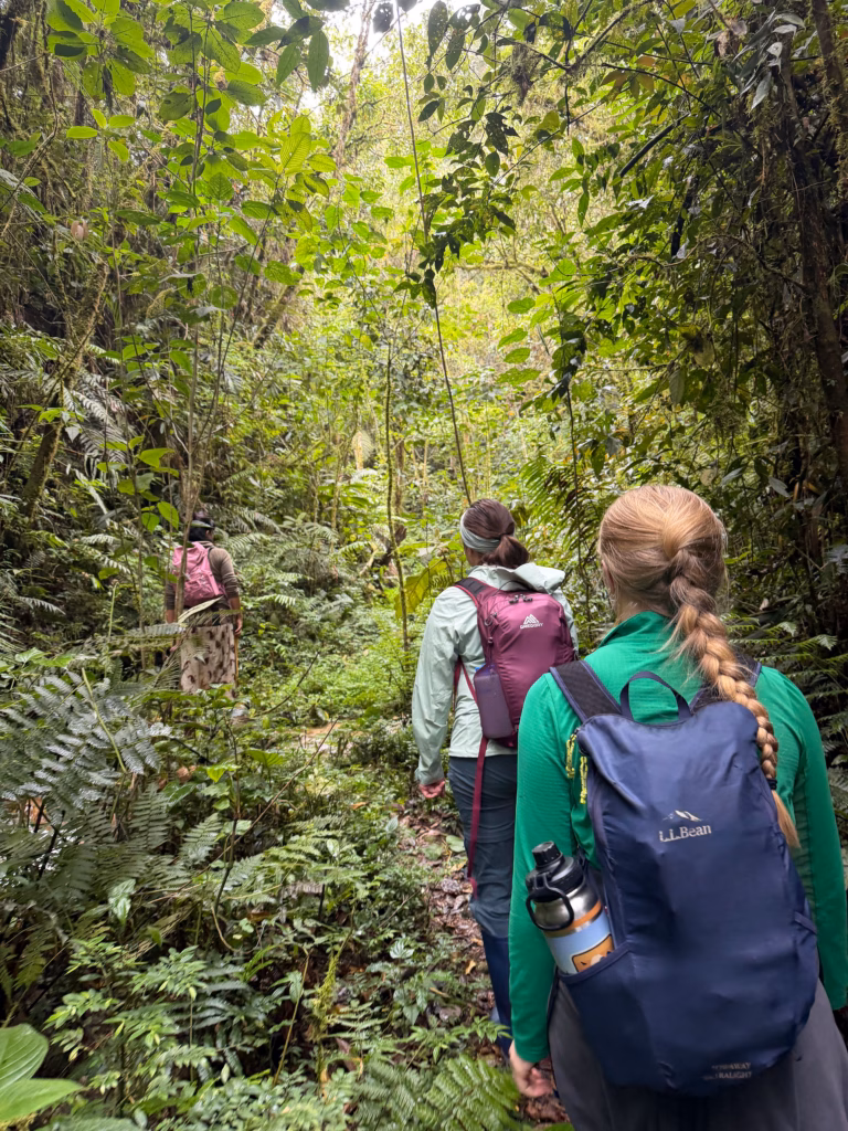 Students hiking through the jungle in Peru