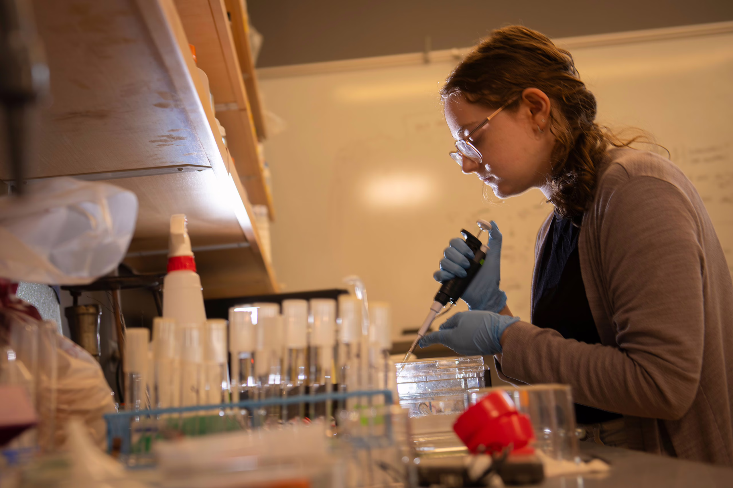Isabelle Speiser ’25, M.A.’ 26, works in Professor Justin Thackeray’s lab.