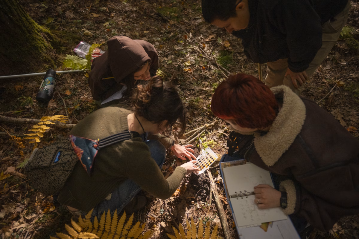 Students studying wetlands in the Harvard Forest