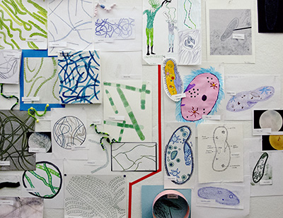 Biology artwork