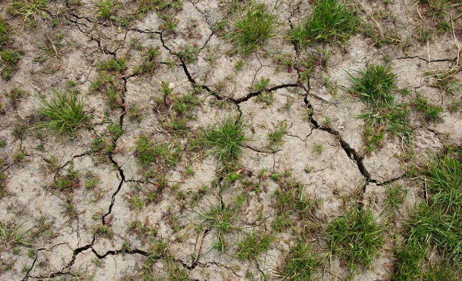 lack of rain