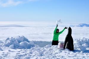 York takes snowpit samples in Greenland.