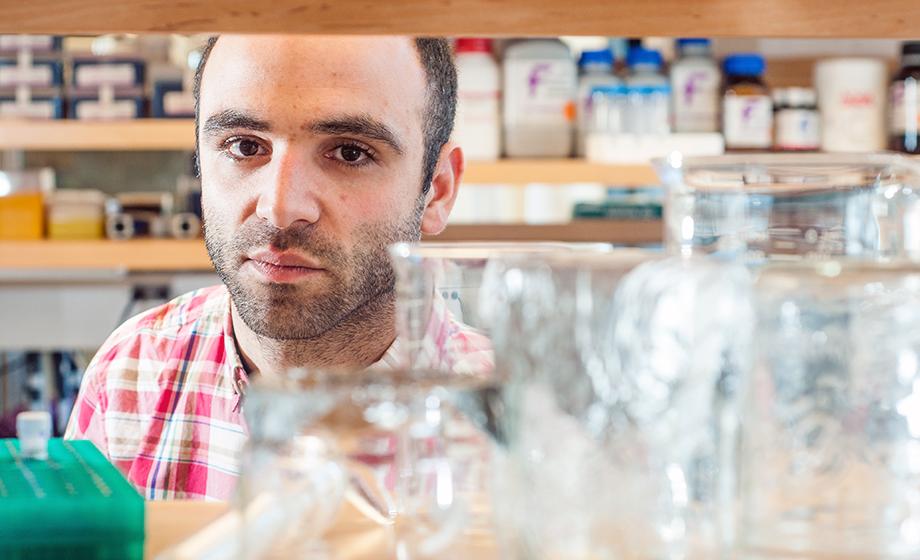 Something mold, something new