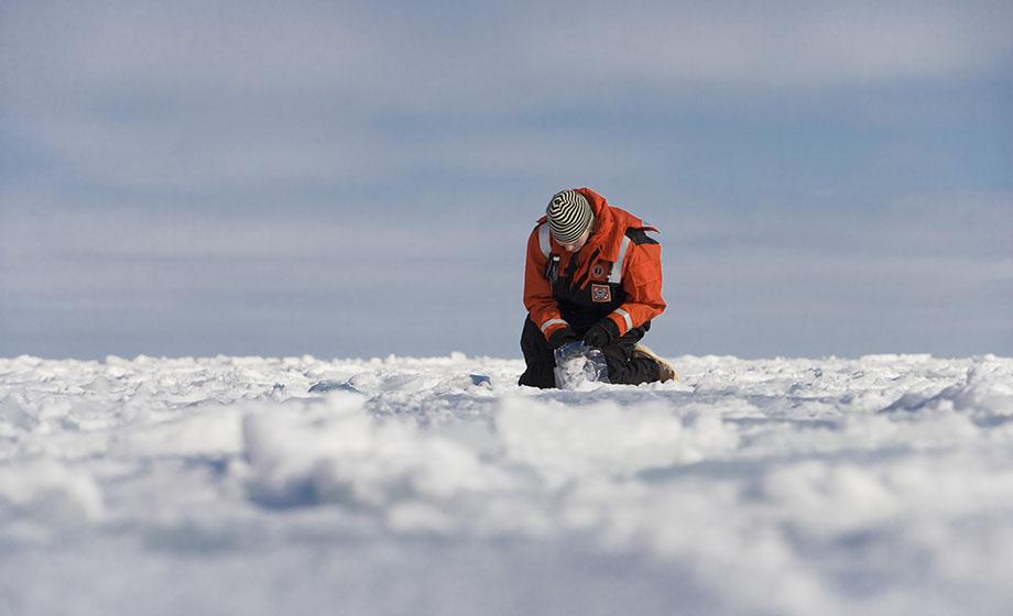 National Academy of Sciences appoints Clark geographer to international Arctic group