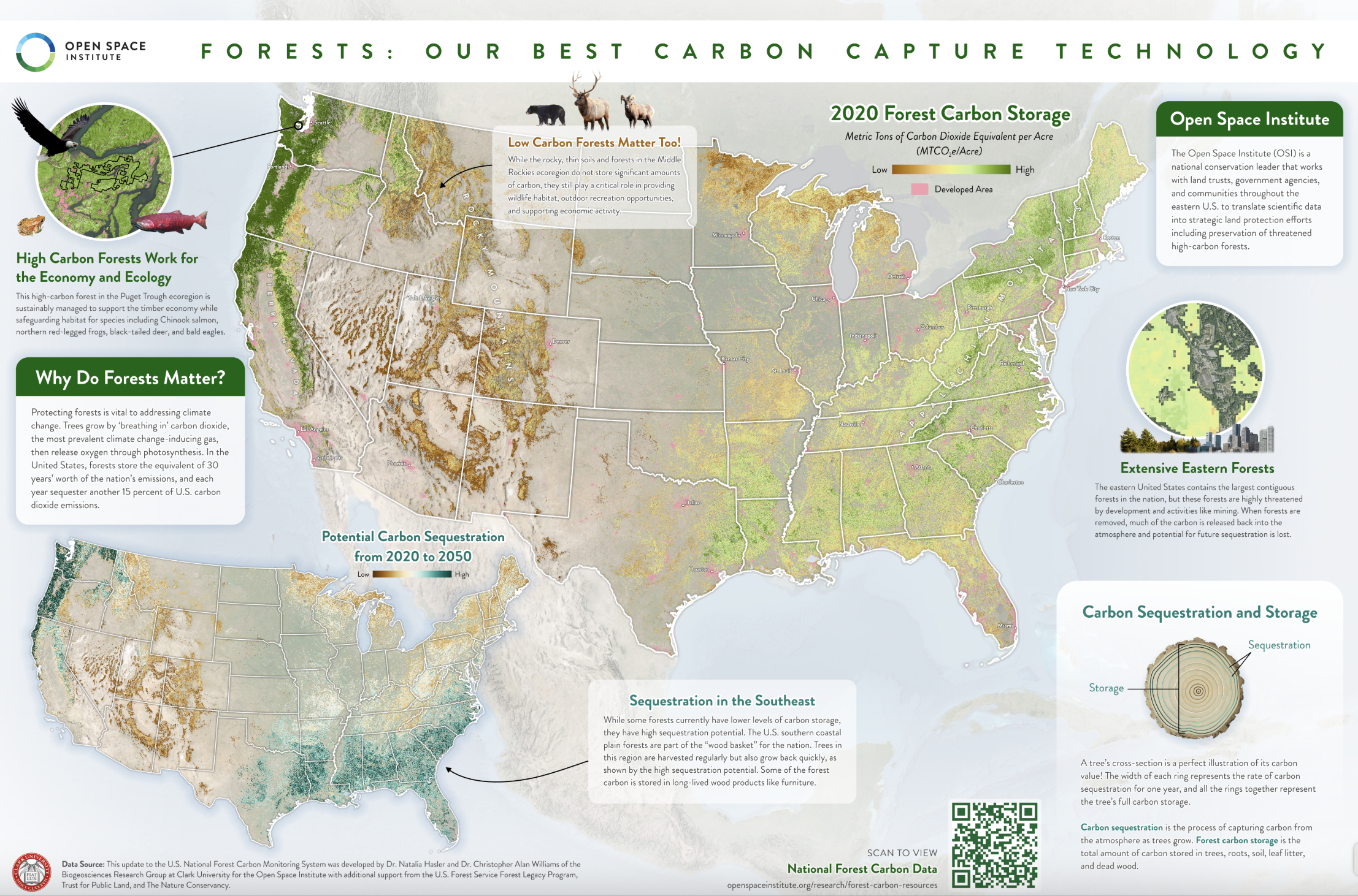 ESRI competition selects Clark lab’s forest carbon map as finalist