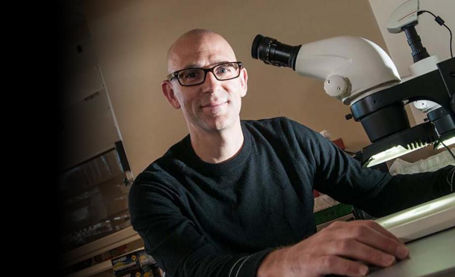 Prof. Rob Drewell