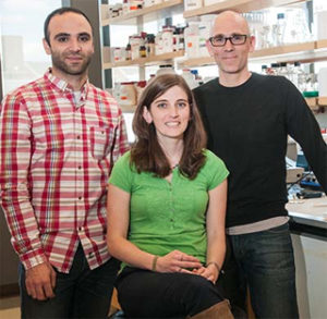 From left, Professors John Gibbons, Jackie Dresch and Rob Drewell.