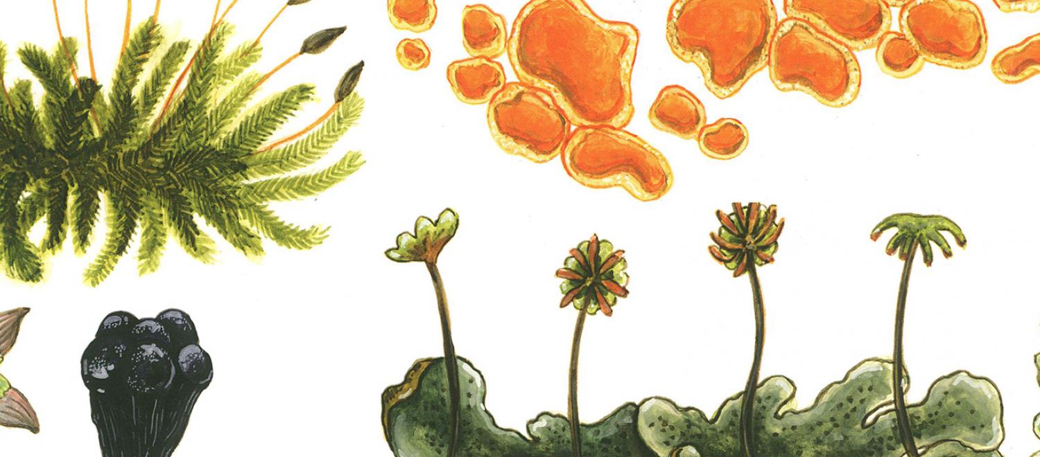 Student research journal a cross-campus effort