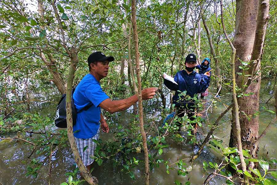 A Peace Corps volunteer works with environmental leaders in their host community in Panama, tagging and monitoring mangroves.