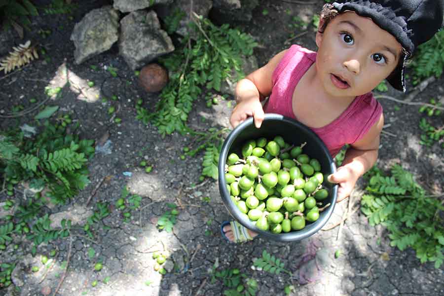 A child holds a basket of produce looks up at the camera