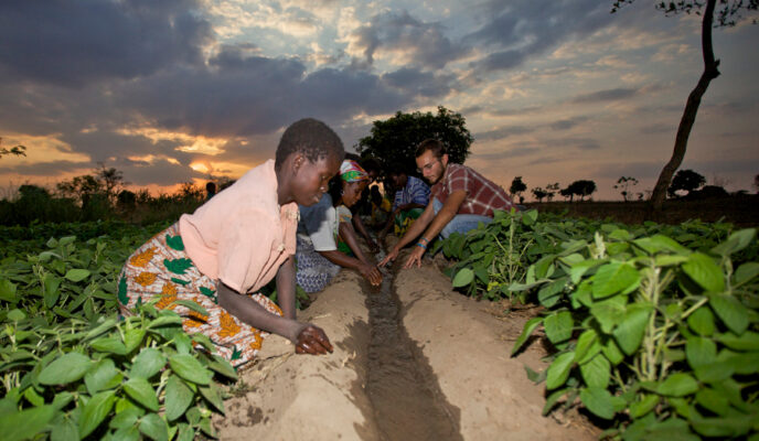 women working in fields