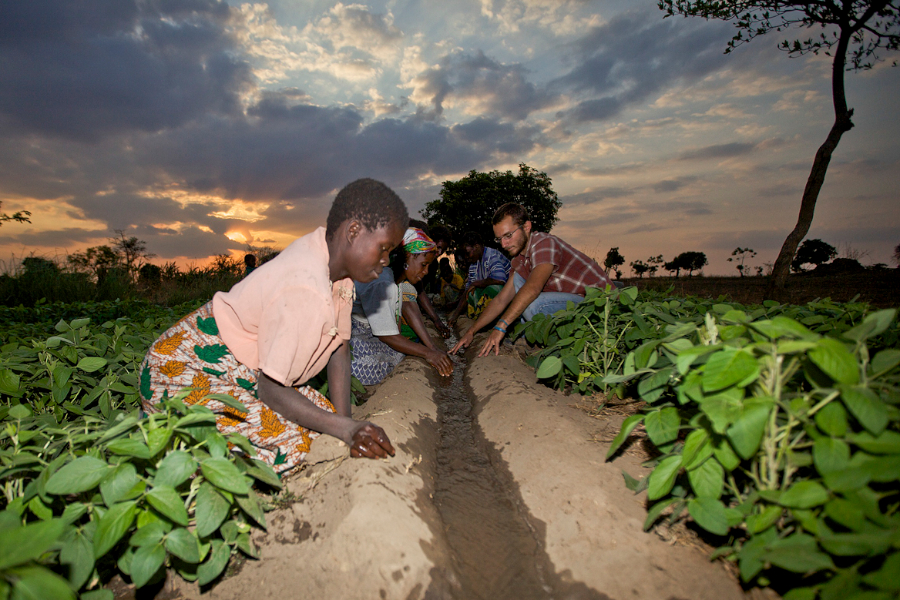 women in the fields