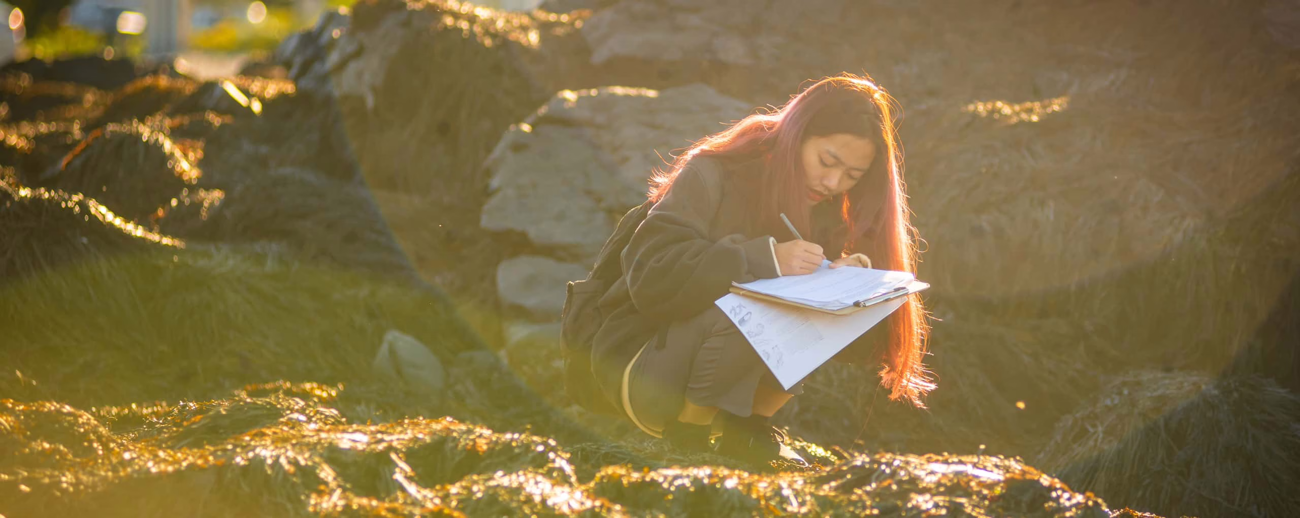 A student records results in the field