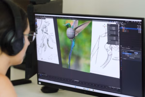 A student applying texture and color to a 3d model of a hummingbird