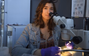 a student looks through a microscope