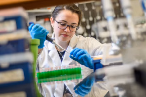 A student working in a chemistry lab, courses needed for a biotechnology degree