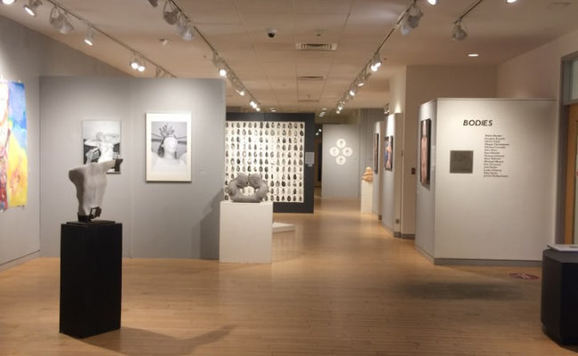 Floor viewing of the Bodies exhibition