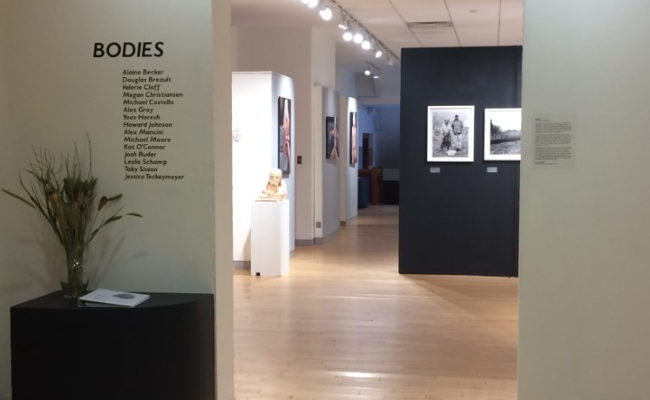 Floor viewing of the Bodies exhibition