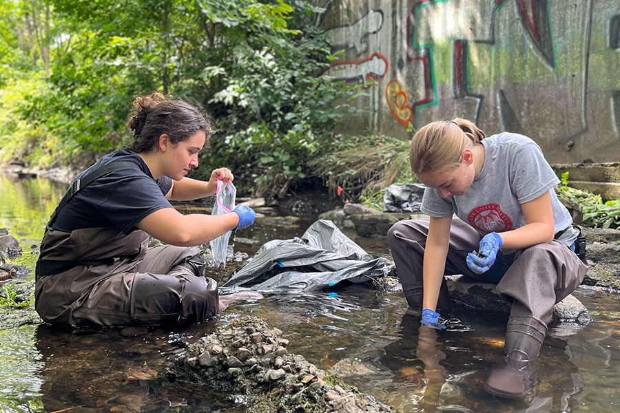 ClarkU seal used as a placeholder