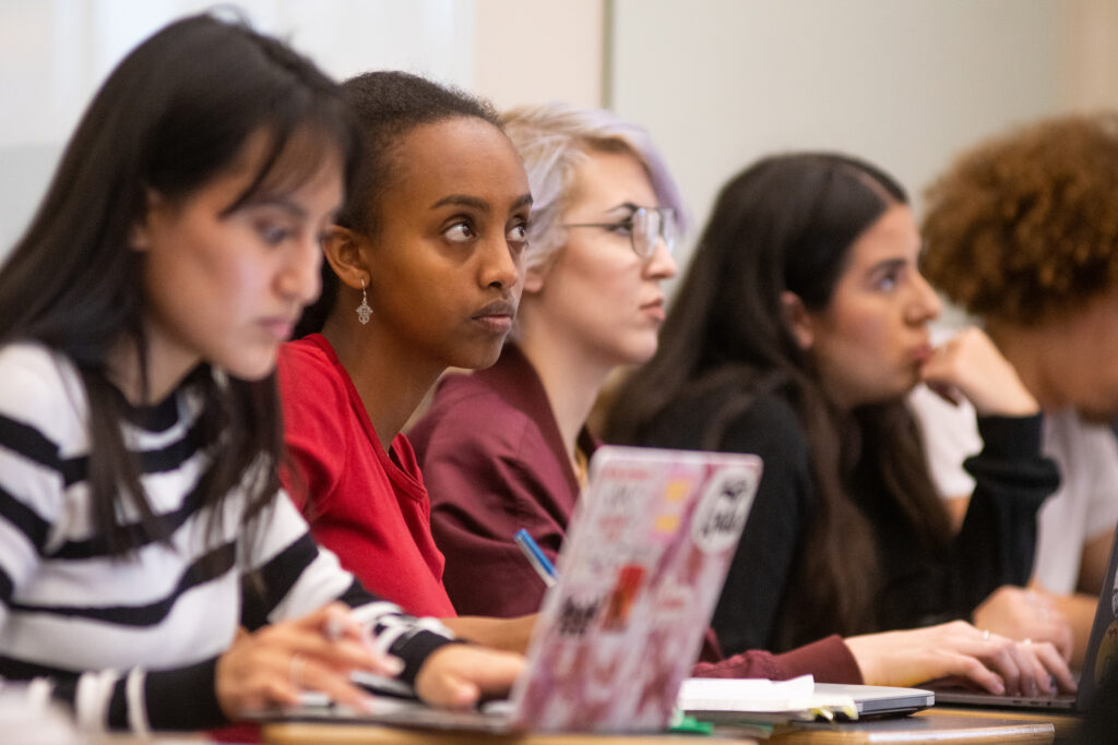 undergraduate students in sociology