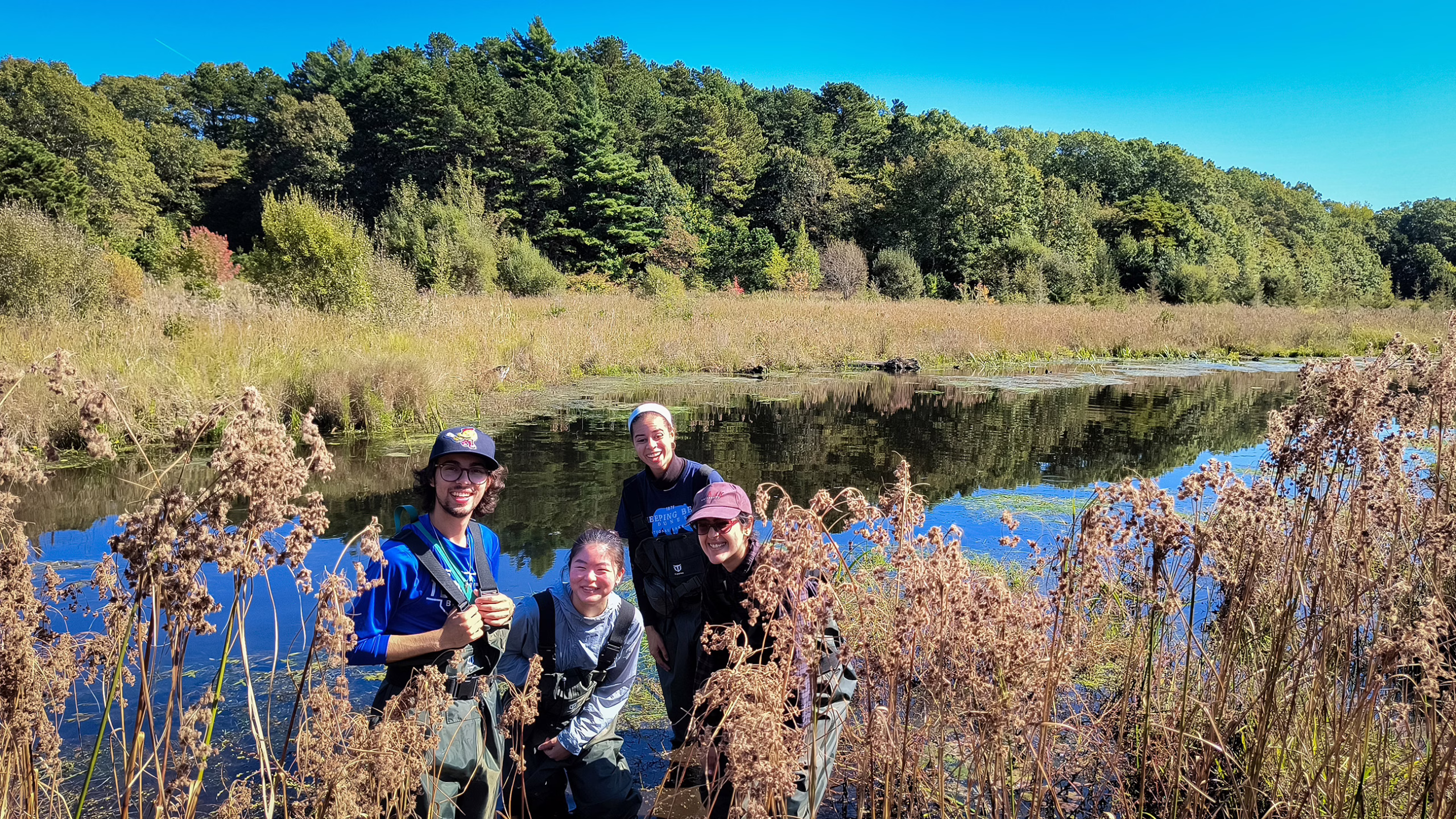 students in pond collecting samples