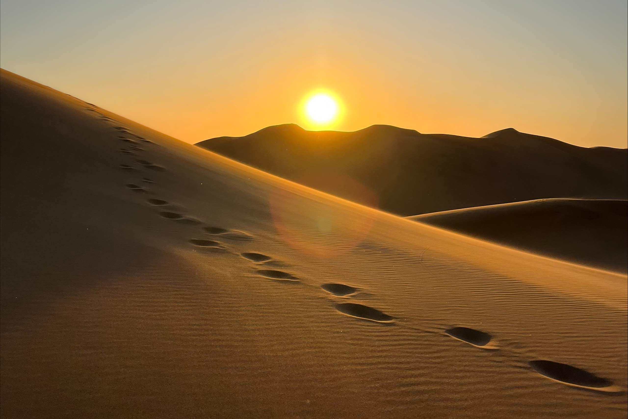 Footsteps in a desert landscape at sunset, photo credit Emma Nicodemus