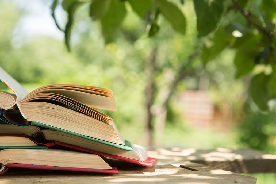 Summer Reading Program - books on a picnic table