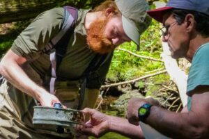 Students study water quality in the field