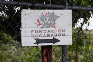 A painted sign that reads Fundación Bucarabón