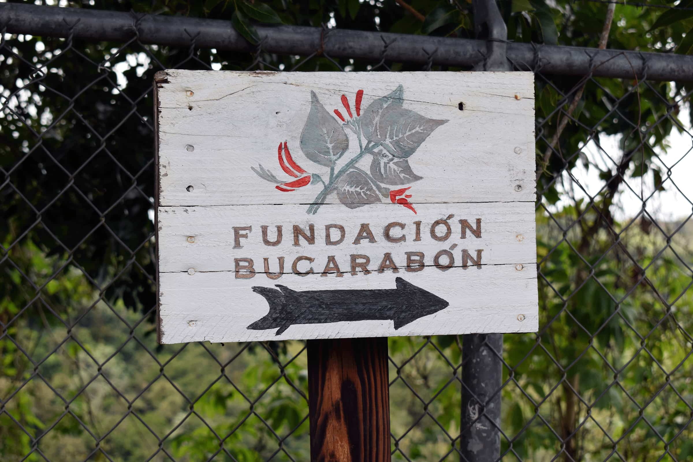 A painted sign that reads Fundación Bucarabón