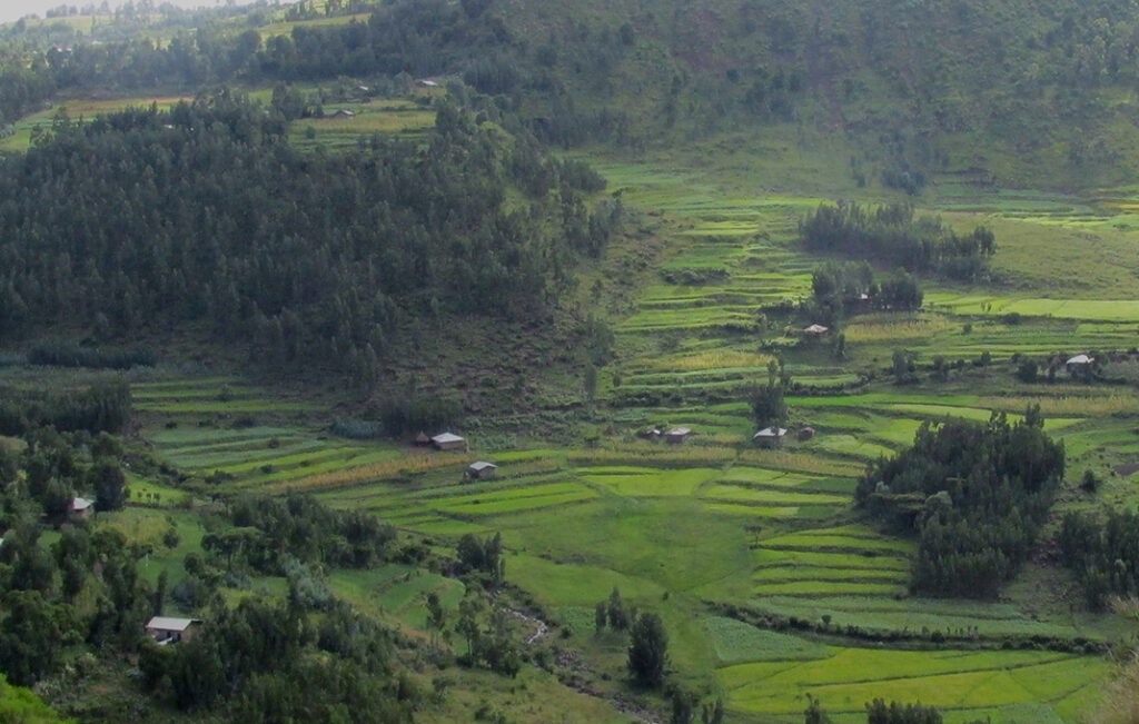 Wollo fields, agricultural land in Ethiopia